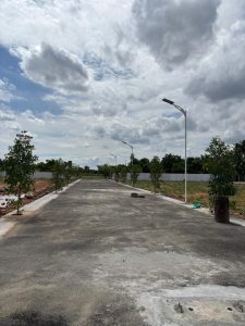 Street Light Photos 6